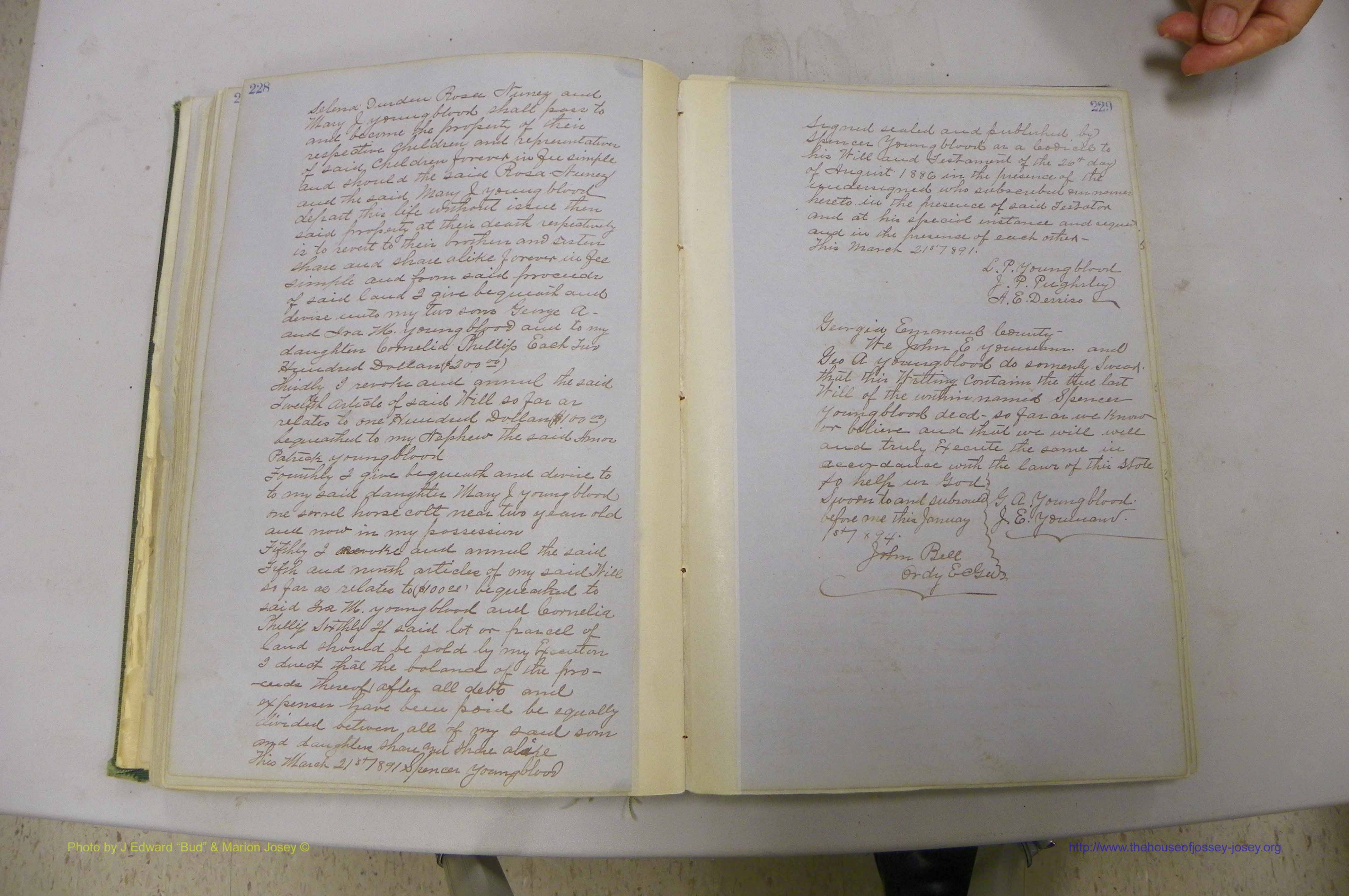 Emanuel Co, GA, Will Book B, 1857 - 1907, P 228-229.JPG