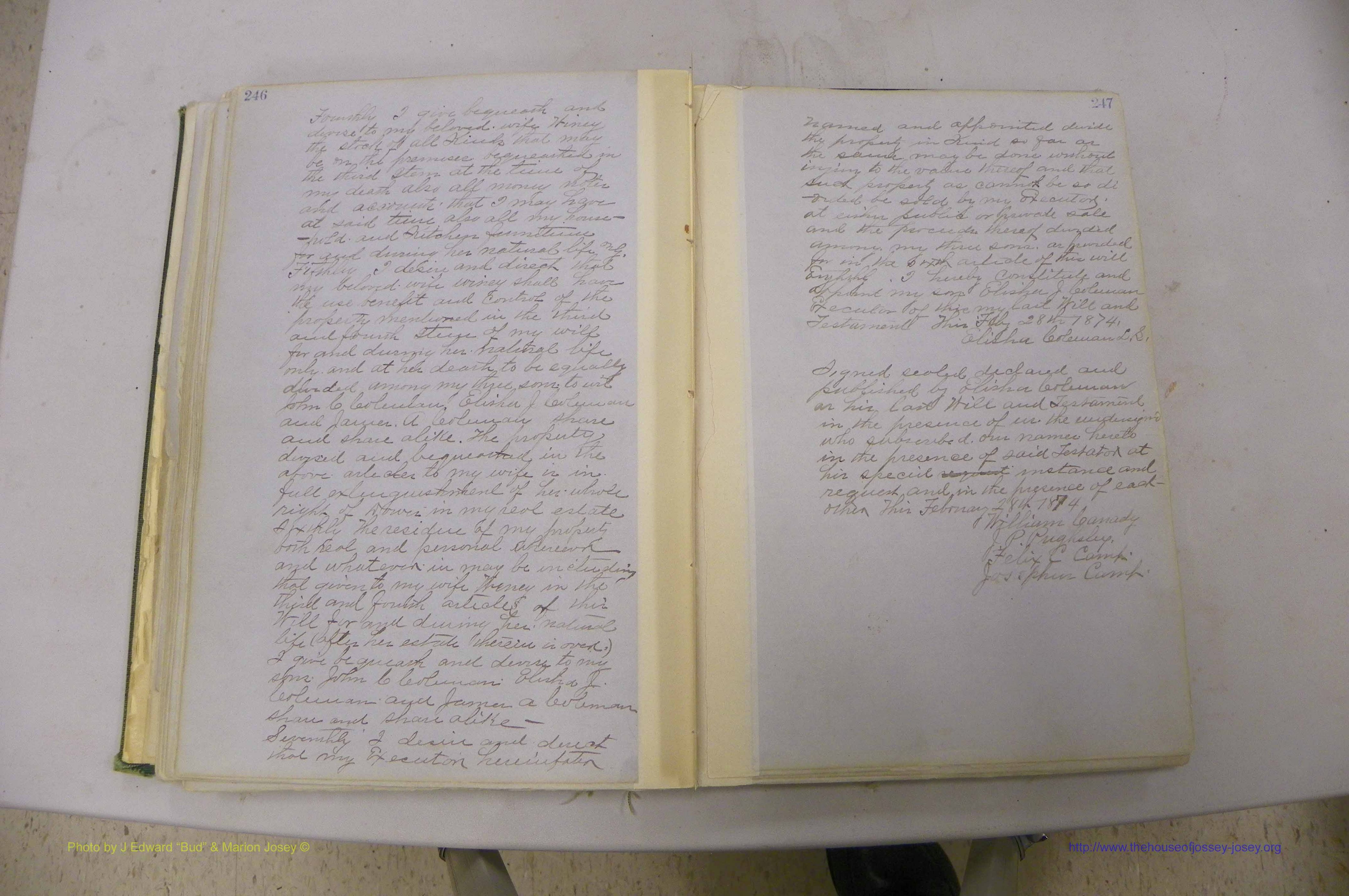 Emanuel Co, GA, Will Book B, 1857 - 1907, P 246-247a.JPG