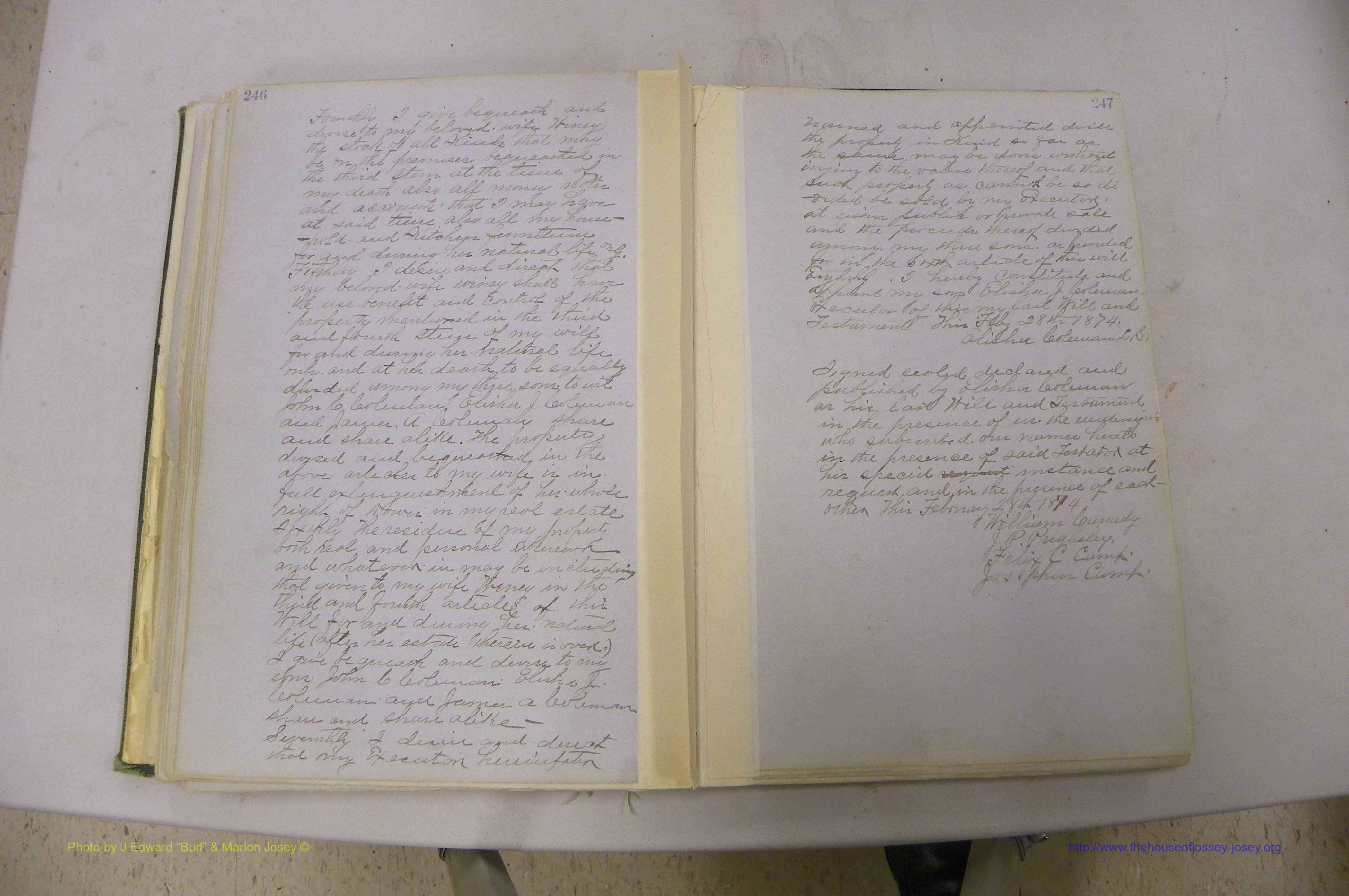 Emanuel Co, GA, Will Book B, 1857 - 1907, P 246-247b.JPG