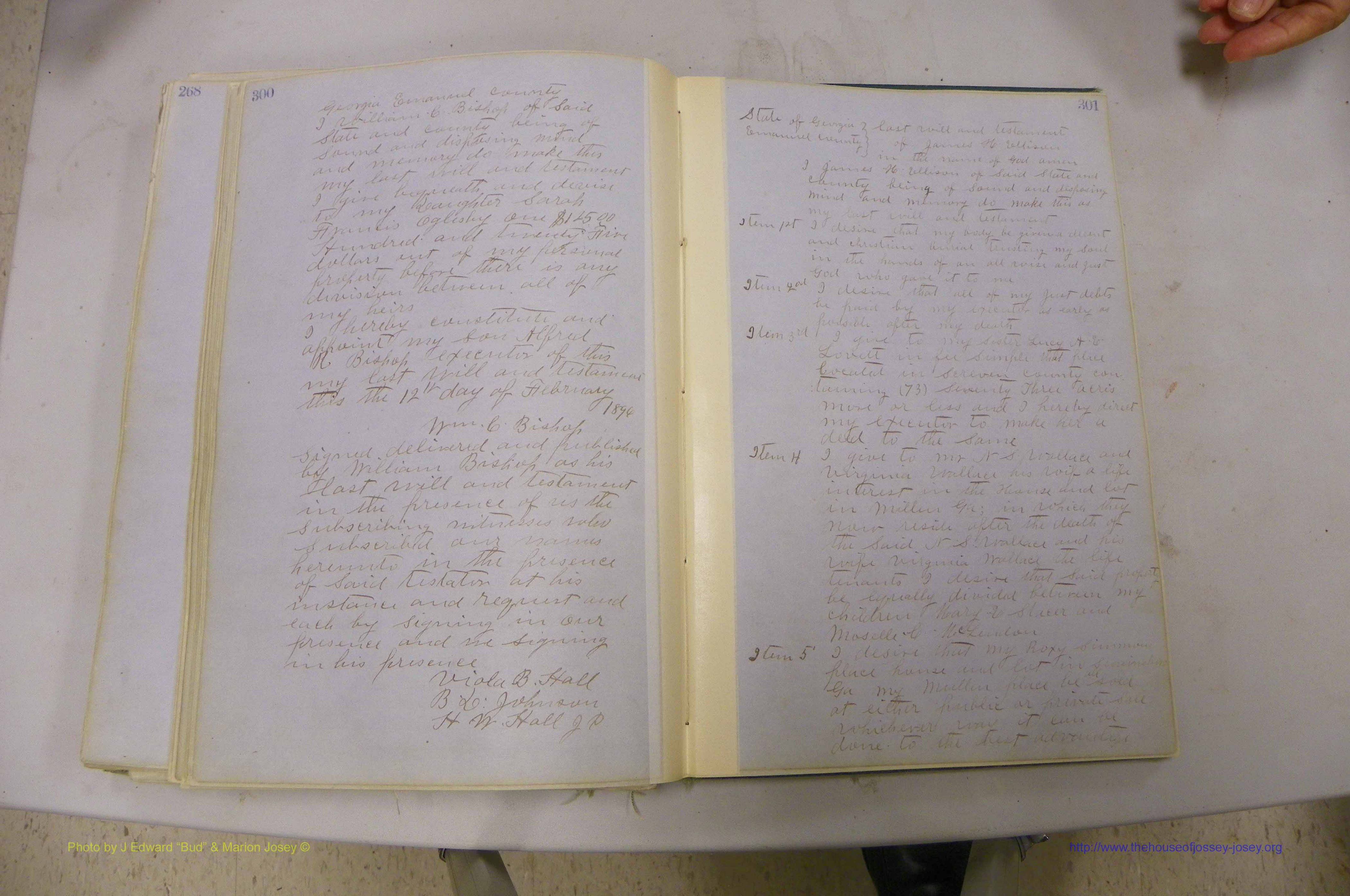 Emanuel Co, GA, Will Book B, 1857 - 1907, P 300-301.JPG