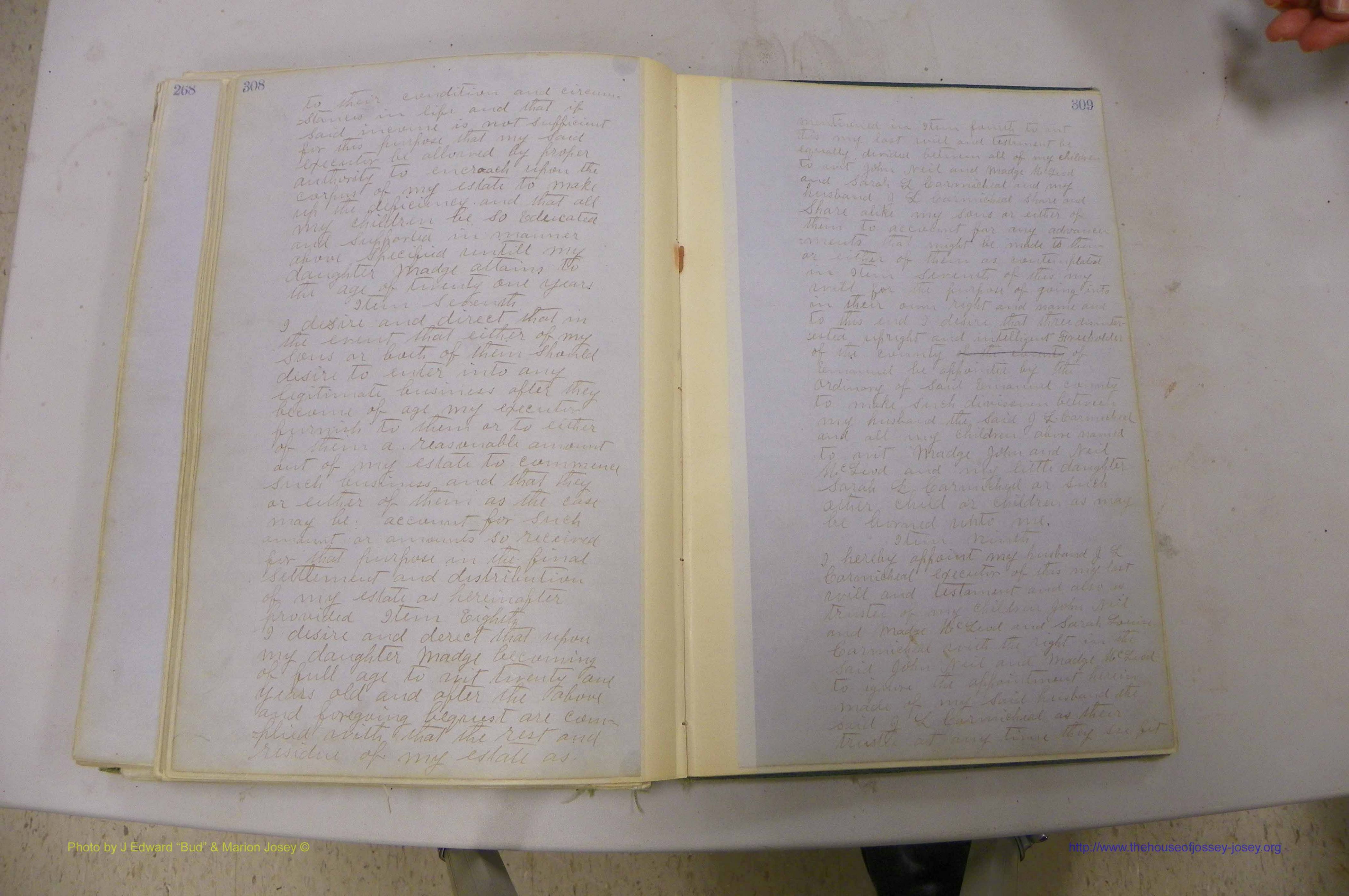Emanuel Co, GA, Will Book B, 1857 - 1907, P 308-309a.JPG