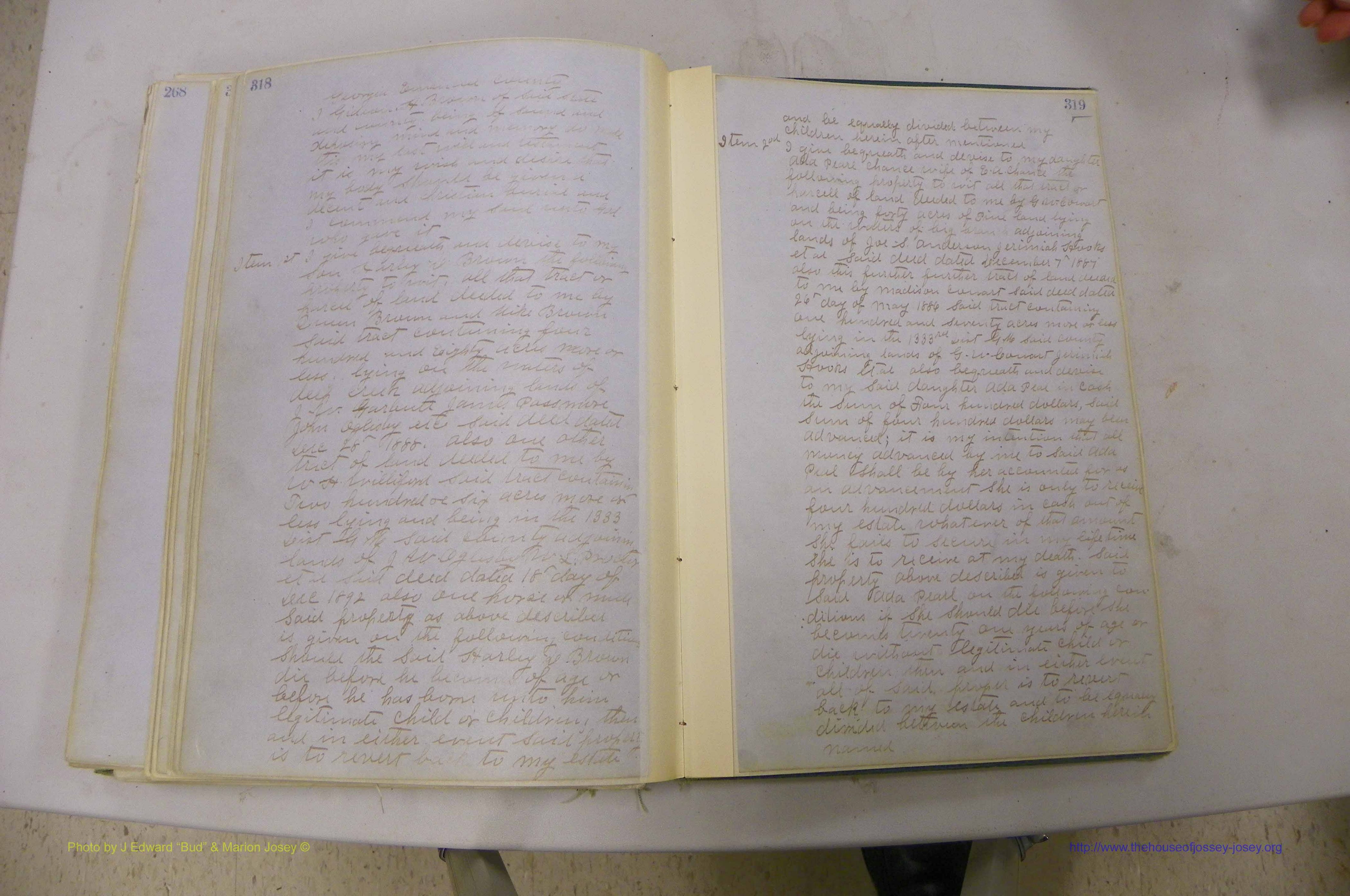 Emanuel Co, GA, Will Book B, 1857 - 1907, P 318-319.JPG