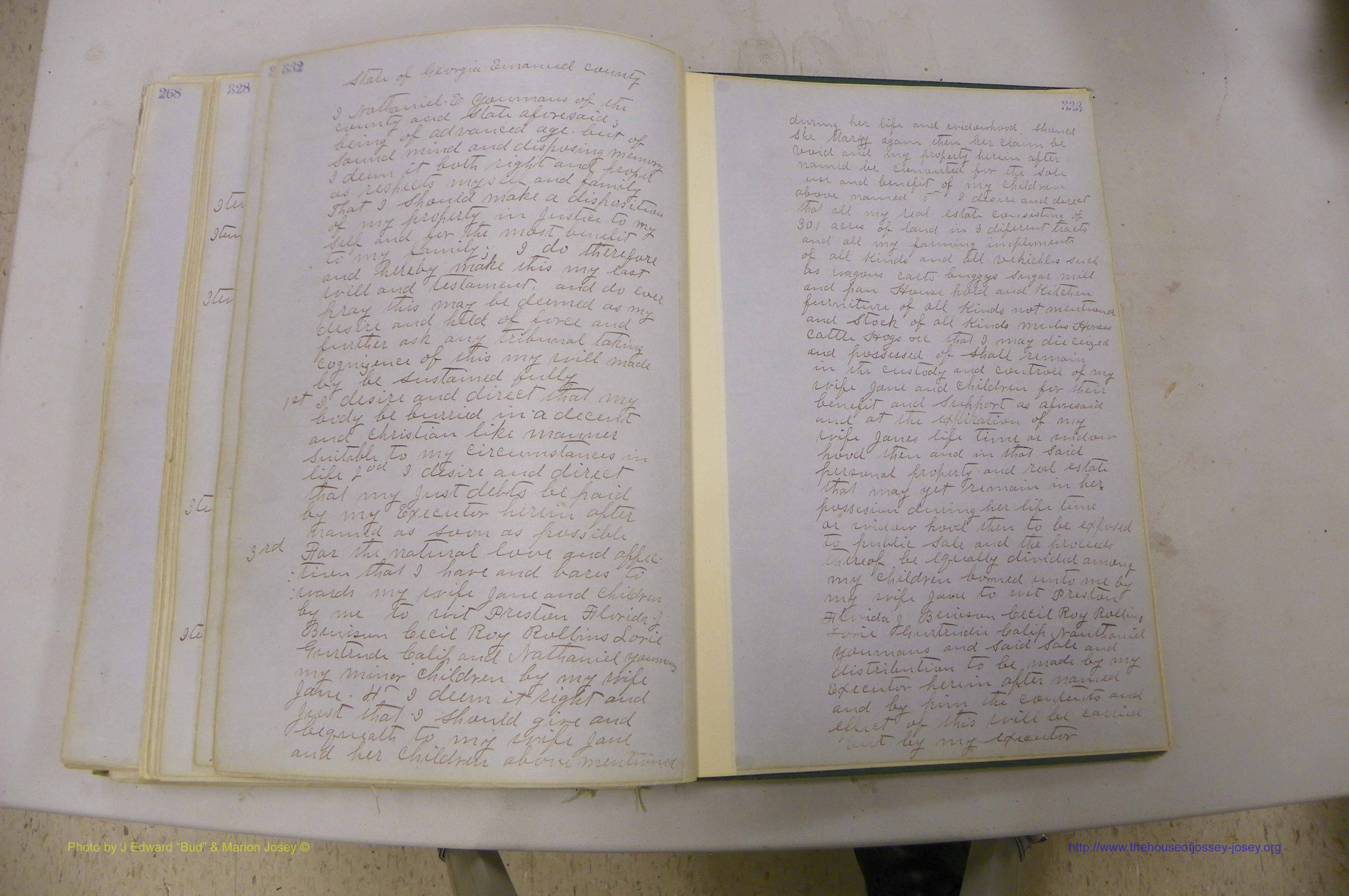 Emanuel Co, GA, Will Book B, 1857 - 1907, P 332-333.JPG