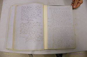 Emanuel Co, GA, Will Book B, 1857 - 1907, P 294-295.JPG