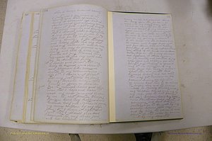 Emanuel Co, GA, Will Book B, 1857 - 1907, P 332-333.JPG