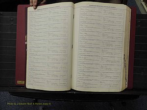 Franklin Co, NC, Marriages, N-Z, 1869-1918 (106).JPG