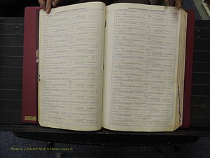 Franklin Co, NC, Marriages, N-Z, 1869-1918 (114).JPG