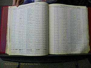 Haywood Births, A-G, 1938-1980 598.JPG