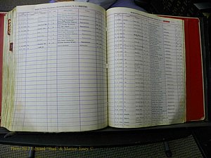 Haywood Births, H-Z, 1939 + 313.JPG