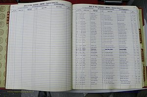 Henderson Co, NC, Births A - Z, 1982 - 1990, (008).JPG