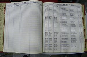 Henderson Co, NC, Births A - Z, 1982 - 1990, (011).JPG
