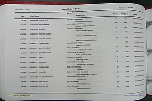 Henderson Co, NC, Births A - Z, 1991 - 1999, (213).JPG