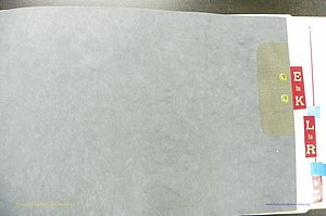 Henderson Co, NC, Births, Delayed, (105).JPG