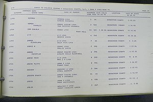 Henderson Co, NC, Births, Delayed, (235).JPG