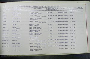 Henderson Co, NC, Births, Delayed, (401).JPG