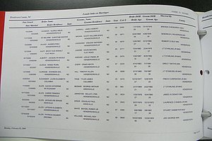 Henderson Co, NC Marriages, Male & Female, 2006 - 2008, (003).JPG