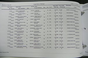 Henderson Co, NC Marriages, Male & Female, 2006 - 2008, (007).JPG