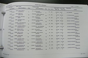 Henderson Co, NC Marriages, Male & Female, 2006 - 2008, (008).JPG