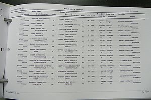 Henderson Co, NC Marriages, Male & Female, 2006 - 2008, (010).JPG