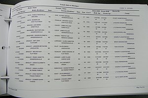 Henderson Co, NC Marriages, Male & Female, 2006 - 2008, (020).JPG