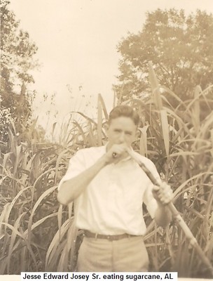 A, Jesse E Josey, eating sugarcane in AL.jpg