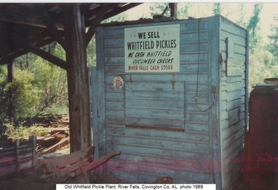 Old Whitfield Pickle Plant, River Falls, Covington Co, AL.jpg