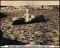 A, Bud Josey, Alabama, 1934.jpg