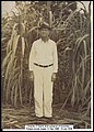 A, Drayton Gantt.jpg