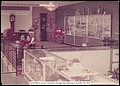 Bud & Marion Josey's, Horsless Carriage Shop Showroom 1974.jpg