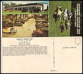 C, Bud & Marion Josey's Horseless Carriage Shop, 1974 008.jpg