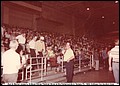 D, Bud & Marions Antique Show at the Fairgrounds in Tampa, FL.jpg