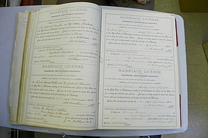 Jefferson Co, GA, Marriages Book A, 1893 - 1907, White (100).JPG