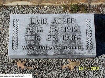 Acree, Livie, Red Oak Baptist Church Cem, Covington Co, AL.jpg