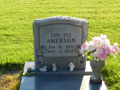 Amerson, Coy Tes, Bonifay Cem, Holmes Co, FL.jpg