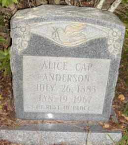 Anderson, Alice Capitola Jones, Mineral Springs Cem, Forrest Co, MS.jpg
