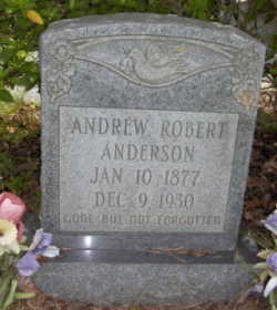 Anderson, Andrew Robert, Mineral Springs Cem, Forrest Co, MS.jpg