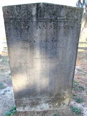 Anderson, David Daniel, Wells Cemetery, Lee Co, SC.jpg