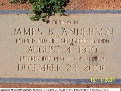 Anderson, James B, Andalusia Memorial Cem, Covington Co, AL.jpg