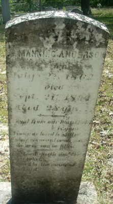 Anderson, Manning Dr_ Oaky Grove Cemetery, Johnson Co, GA.jpg