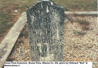 Avant, Infant of Homer, Buena Vista Cem, Marion Co, GA.jpg