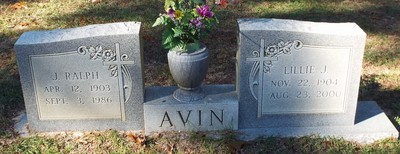Avin, James Ralph & Lillie Ferdinand Johnson, Bethel Baptist Cem, Sumter Co, SC.jpeg