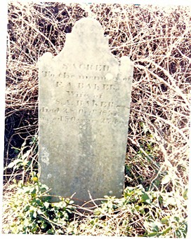 Baker, Frances Walker, John Baker Cemetery, Hickman Co, TN.jpg