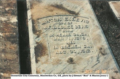 Bevis, Linton E, Greenville Cem, Meriweather Co, GA.jpg