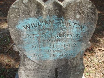 Bevis, William Milton, Bevis Cem, Heard Co, GA.jpg