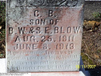 Blow, C B, Red Oak Baptist Church Cem, Covington Co, AL.jpg