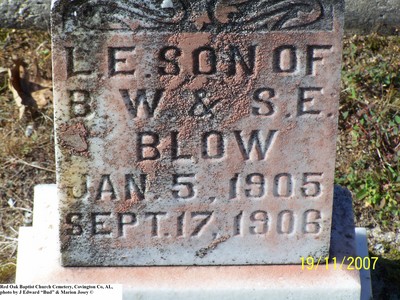 Blow, L E, Red Oak Baptist Church Cem, Covington Co, AL.jpg