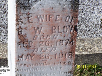 Blow, Sarah E, Red Oak Baptist Church Cem, Covington Co, AL.jpg