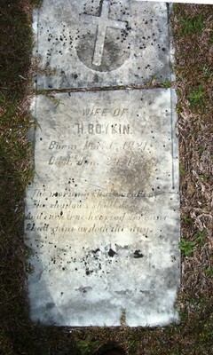 Boykin, Mary J, Newman Swamp Cemetery, Darlington Co, SC.jpg