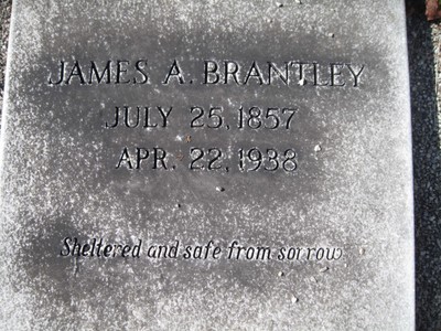 Brantley, James Aaron, Mount Moriah Cem, Washington Co, GA.jpg