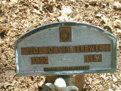 Brewer, Joe Davis, Stoneham Cem, Grimes Co, TX.jpg